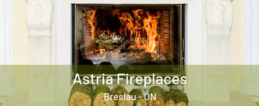 Astria Fireplaces Breslau - ON