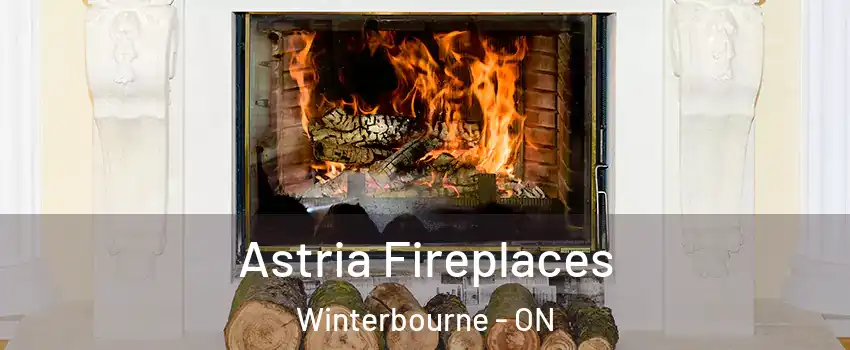 Astria Fireplaces Winterbourne - ON
