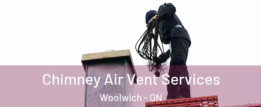 Chimney Air Vent Services Woolwich - ON