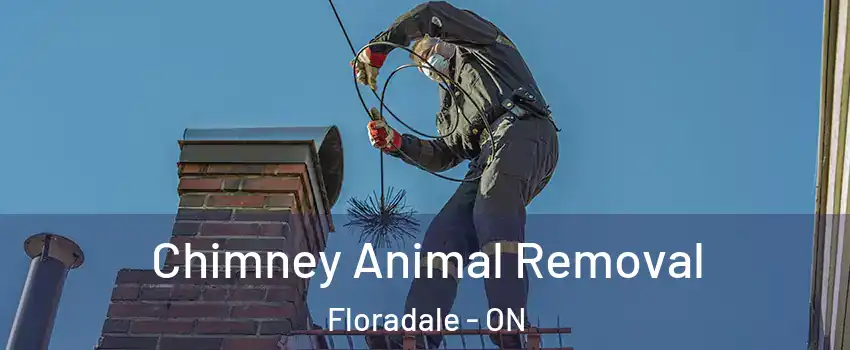 Chimney Animal Removal Floradale - ON