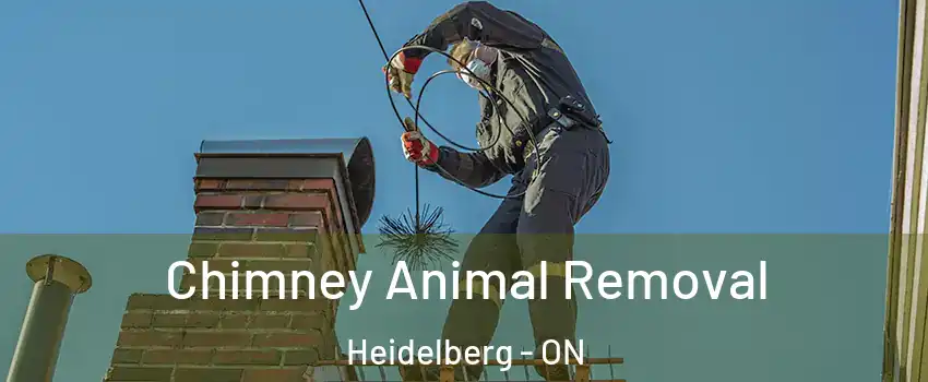 Chimney Animal Removal Heidelberg - ON