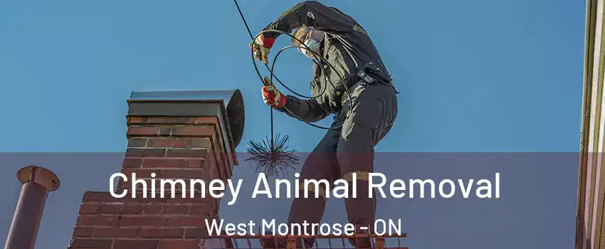 Chimney Animal Removal West Montrose - ON
