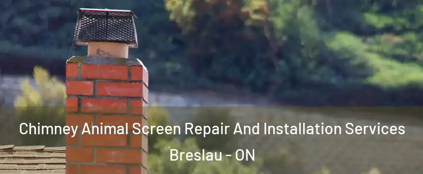 Chimney Animal Screen Repair And Installation Services Breslau - ON