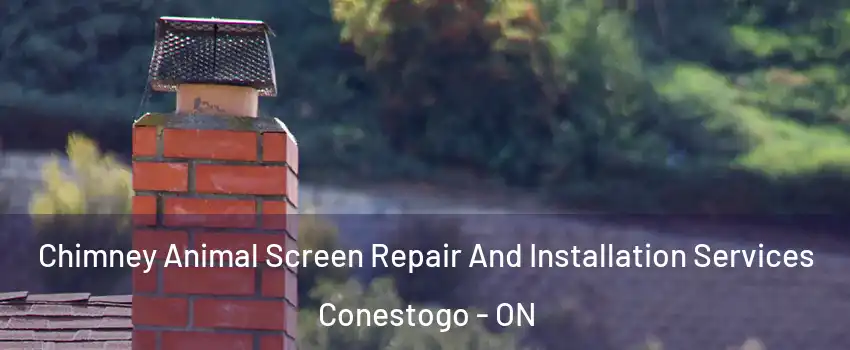 Chimney Animal Screen Repair And Installation Services Conestogo - ON