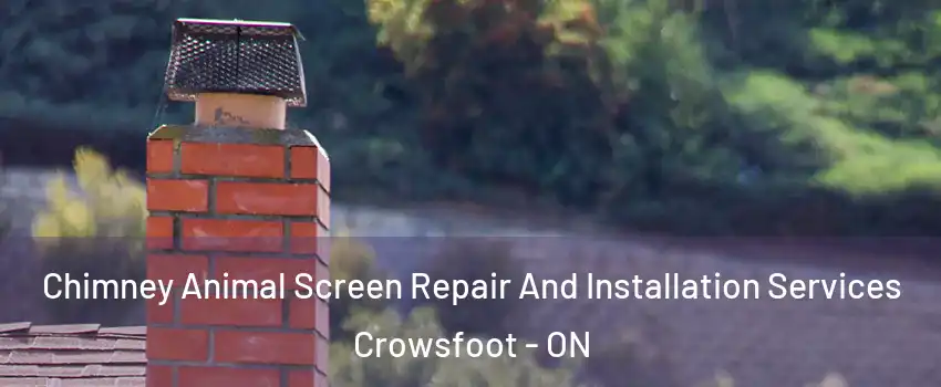 Chimney Animal Screen Repair And Installation Services Crowsfoot - ON