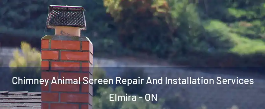 Chimney Animal Screen Repair And Installation Services Elmira - ON