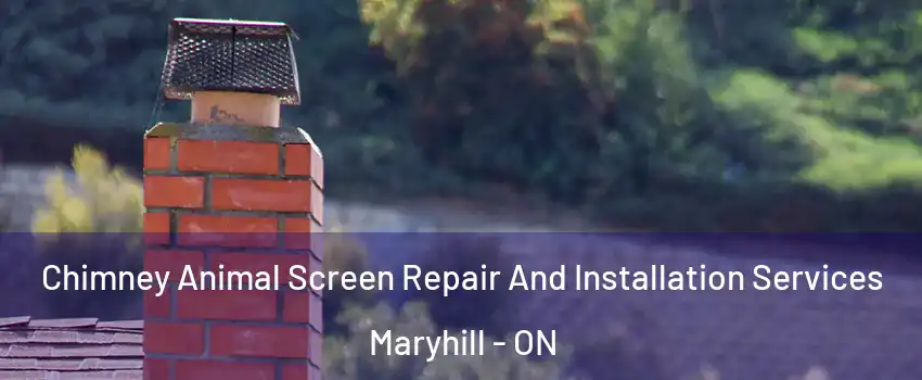 Chimney Animal Screen Repair And Installation Services Maryhill - ON