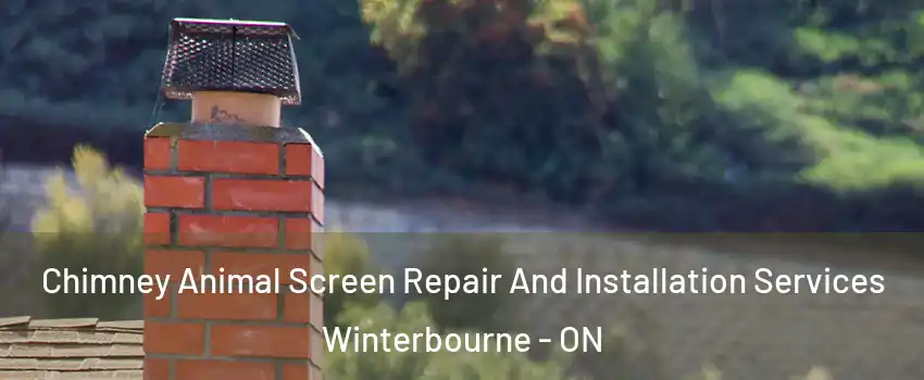 Chimney Animal Screen Repair And Installation Services Winterbourne - ON