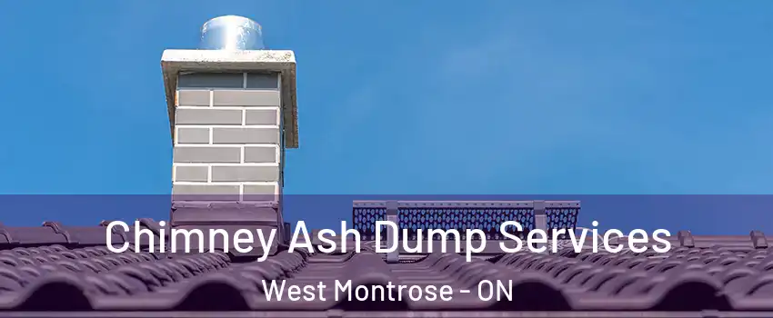  Chimney Ash Dump Services West Montrose - ON