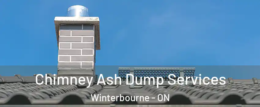 Chimney Ash Dump Services Winterbourne - ON