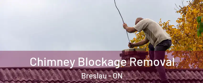 Chimney Blockage Removal Breslau - ON