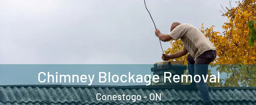 Chimney Blockage Removal Conestogo - ON