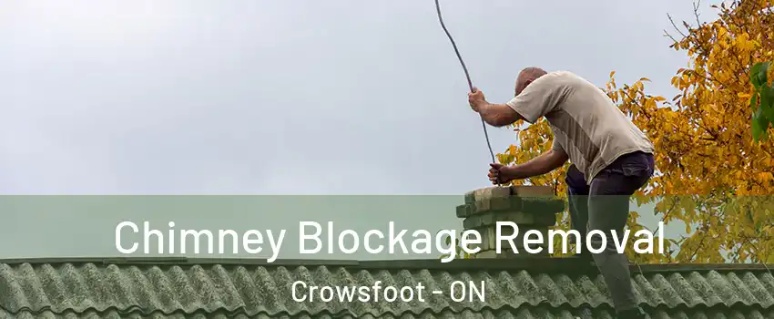 Chimney Blockage Removal Crowsfoot - ON
