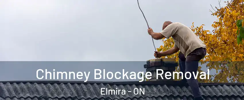 Chimney Blockage Removal Elmira - ON
