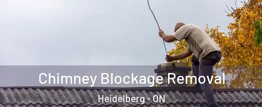 Chimney Blockage Removal Heidelberg - ON