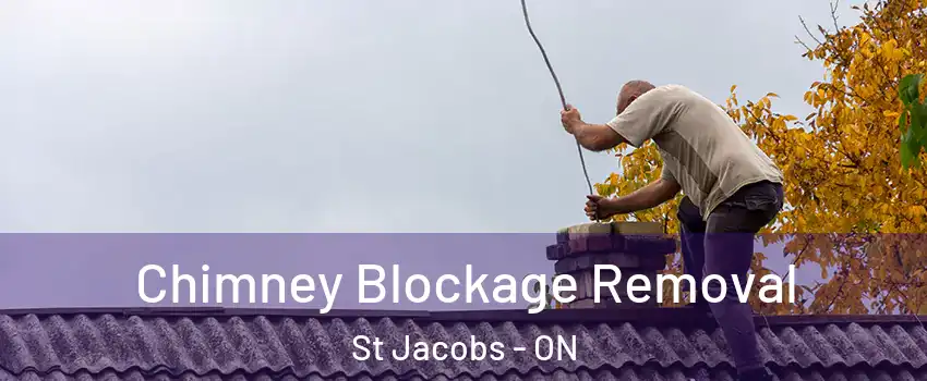 Chimney Blockage Removal St Jacobs - ON