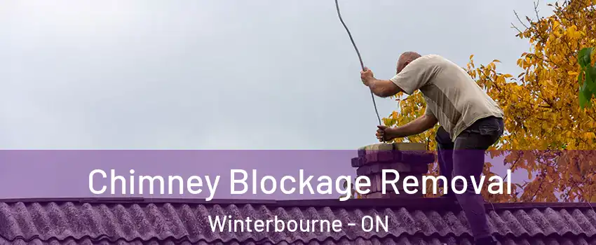 Chimney Blockage Removal Winterbourne - ON