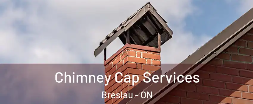  Chimney Cap Services Breslau - ON