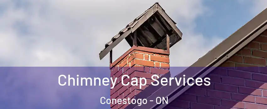 Chimney Cap Services Conestogo - ON