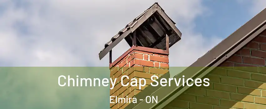 Chimney Cap Services Elmira - ON