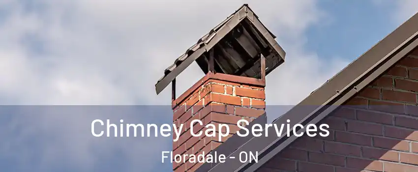 Chimney Cap Services Floradale - ON