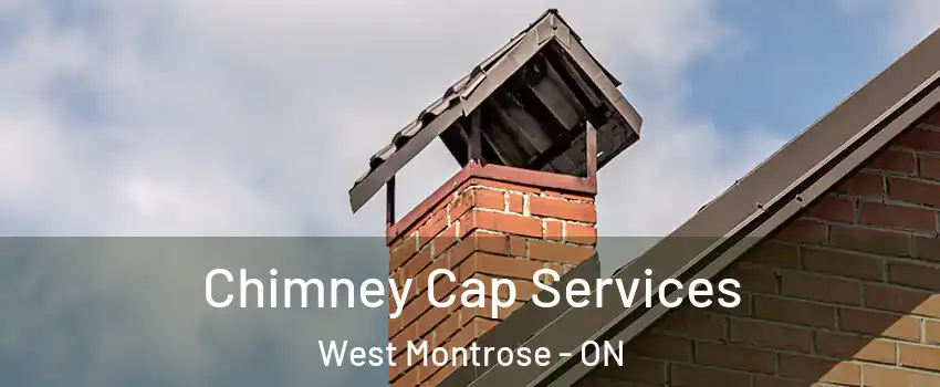 Chimney Cap Services West Montrose - ON