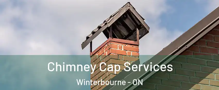 Chimney Cap Services Winterbourne - ON
