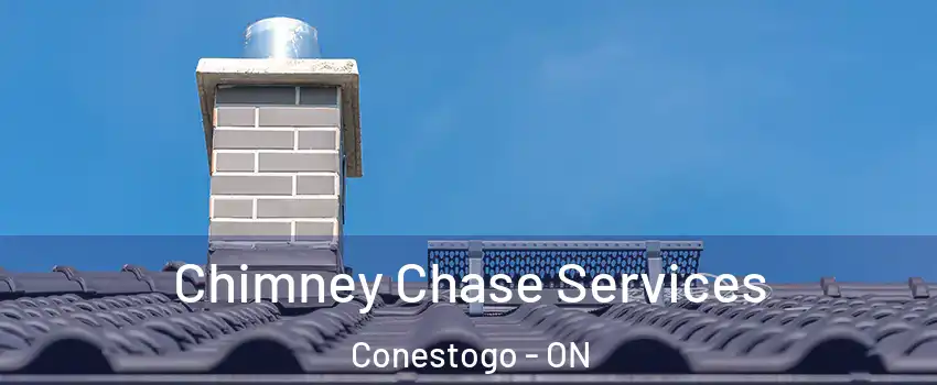 Chimney Chase Services Conestogo - ON