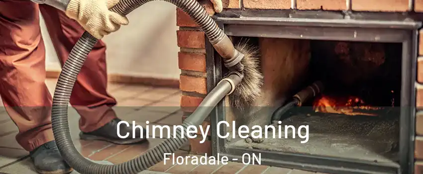 Chimney Cleaning Floradale - ON