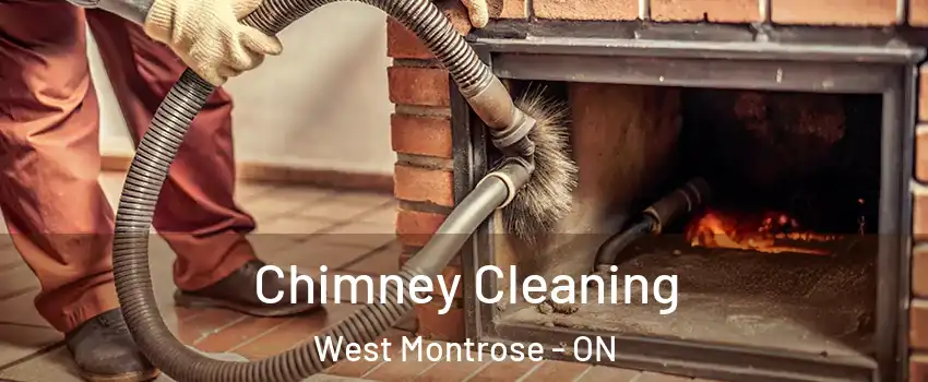 Chimney Cleaning West Montrose - ON