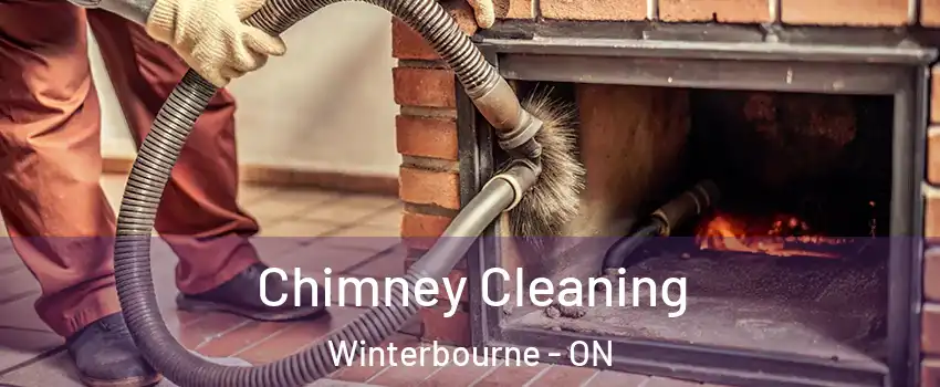 Chimney Cleaning Winterbourne - ON