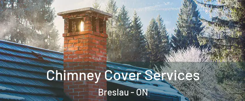 Chimney Cover Services Breslau - ON