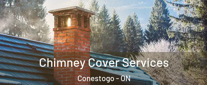 Chimney Cover Services Conestogo - ON