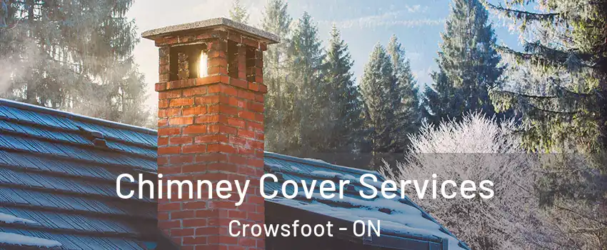 Chimney Cover Services Crowsfoot - ON