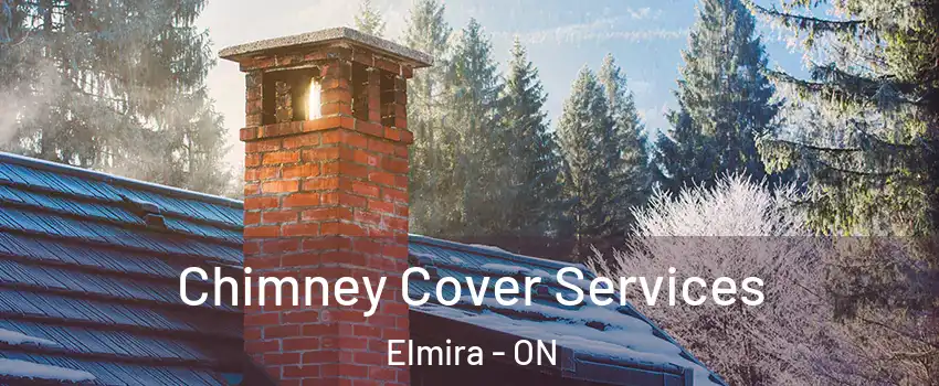 Chimney Cover Services Elmira - ON