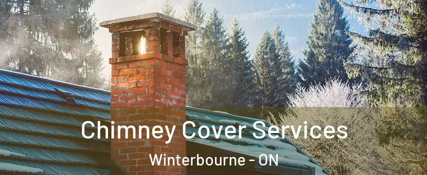 Chimney Cover Services Winterbourne - ON