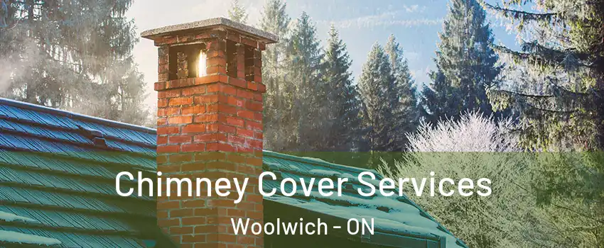 Chimney Cover Services Woolwich - ON