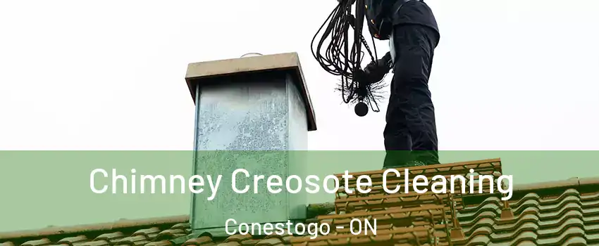 Chimney Creosote Cleaning Conestogo - ON