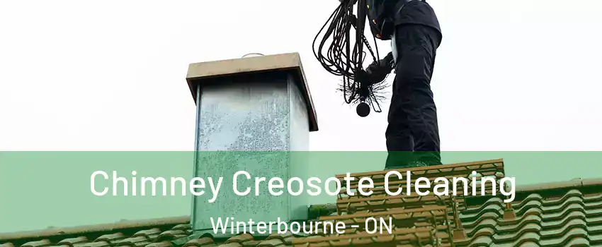 Chimney Creosote Cleaning Winterbourne - ON