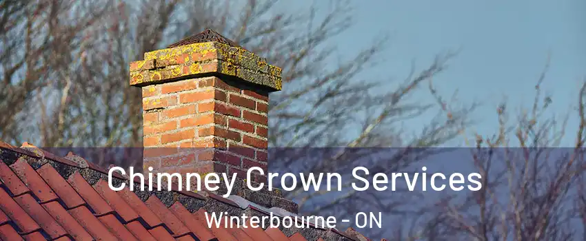 Chimney Crown Services Winterbourne - ON