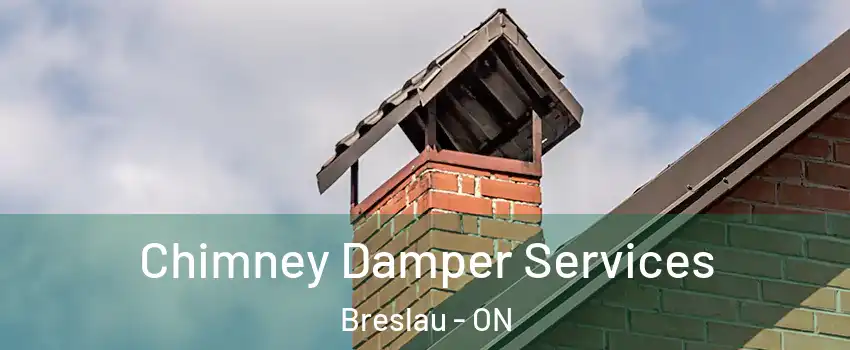 Chimney Damper Services Breslau - ON