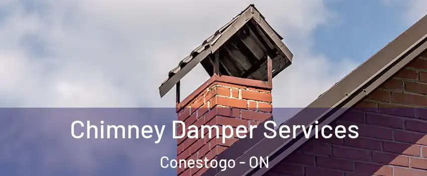 Chimney Damper Services Conestogo - ON