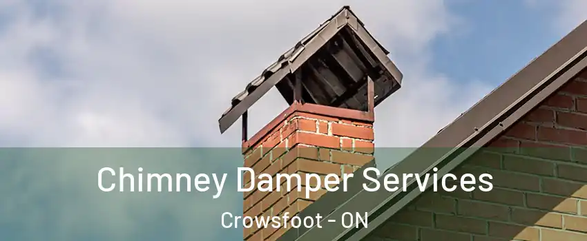  Chimney Damper Services Crowsfoot - ON