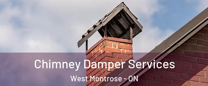 Chimney Damper Services West Montrose - ON