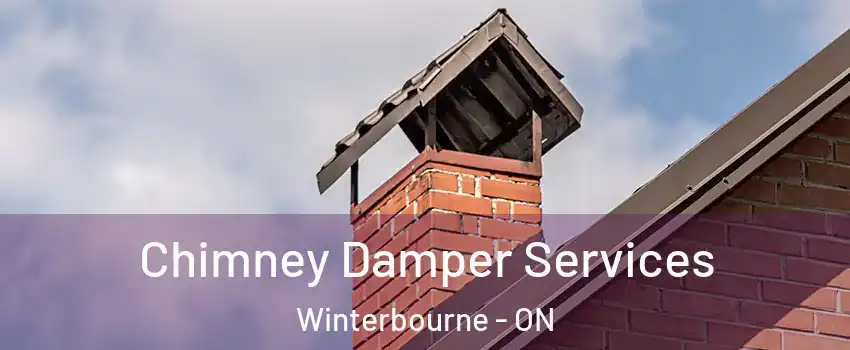 Chimney Damper Services Winterbourne - ON