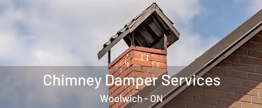Chimney Damper Services Woolwich - ON