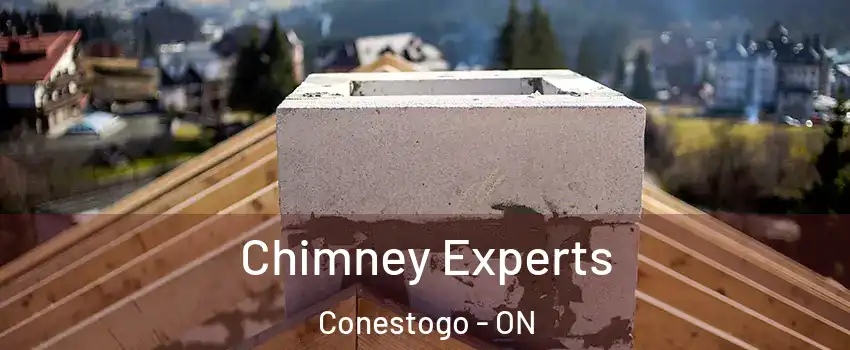 Chimney Experts Conestogo - ON