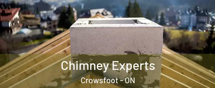  Chimney Experts Crowsfoot - ON