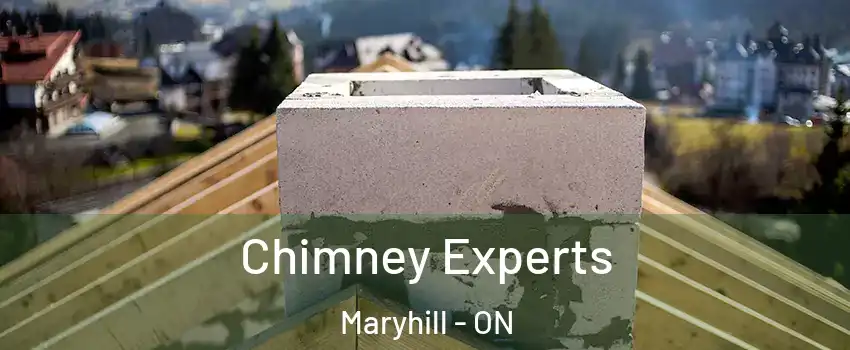Chimney Experts Maryhill - ON