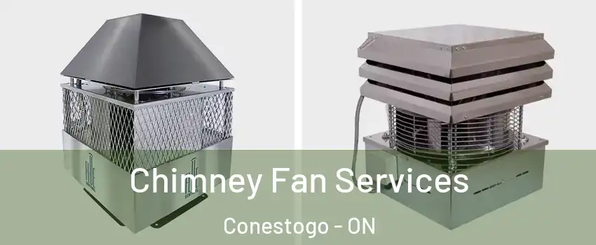 Chimney Fan Services Conestogo - ON